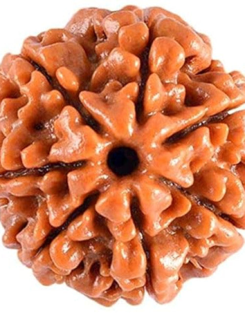 2806